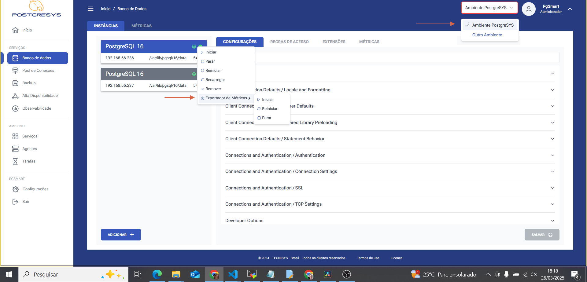 Figure 1 - Control of the PostgreSQL Metrics Exporter Service