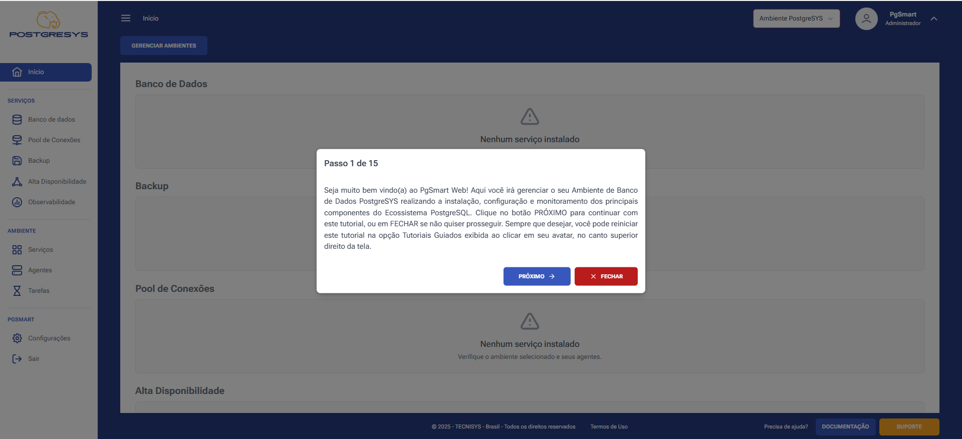 Figure 4 - PgSmart Web Installation - Initial Screen