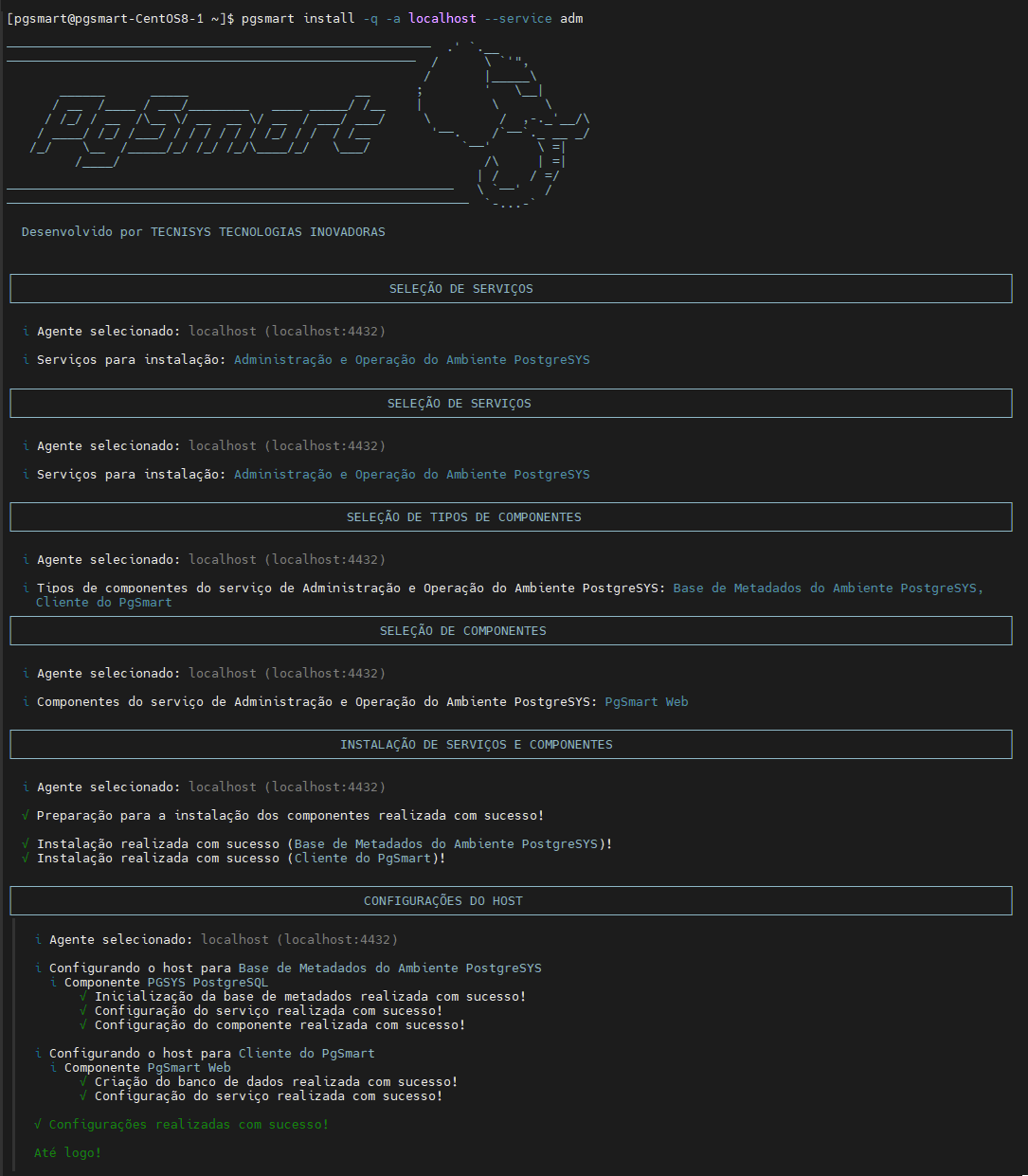 Figure 1 - PgSmart Web Installation - Non-Interactive