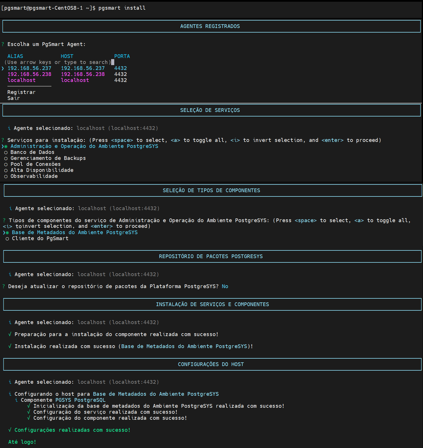 Figure 1 - Metadata Database Installation