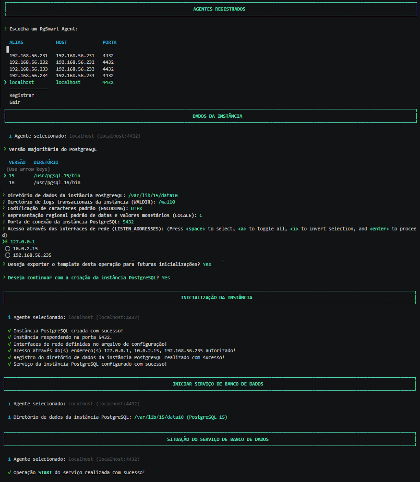 Figura 1 - Inicialização do Cluster
