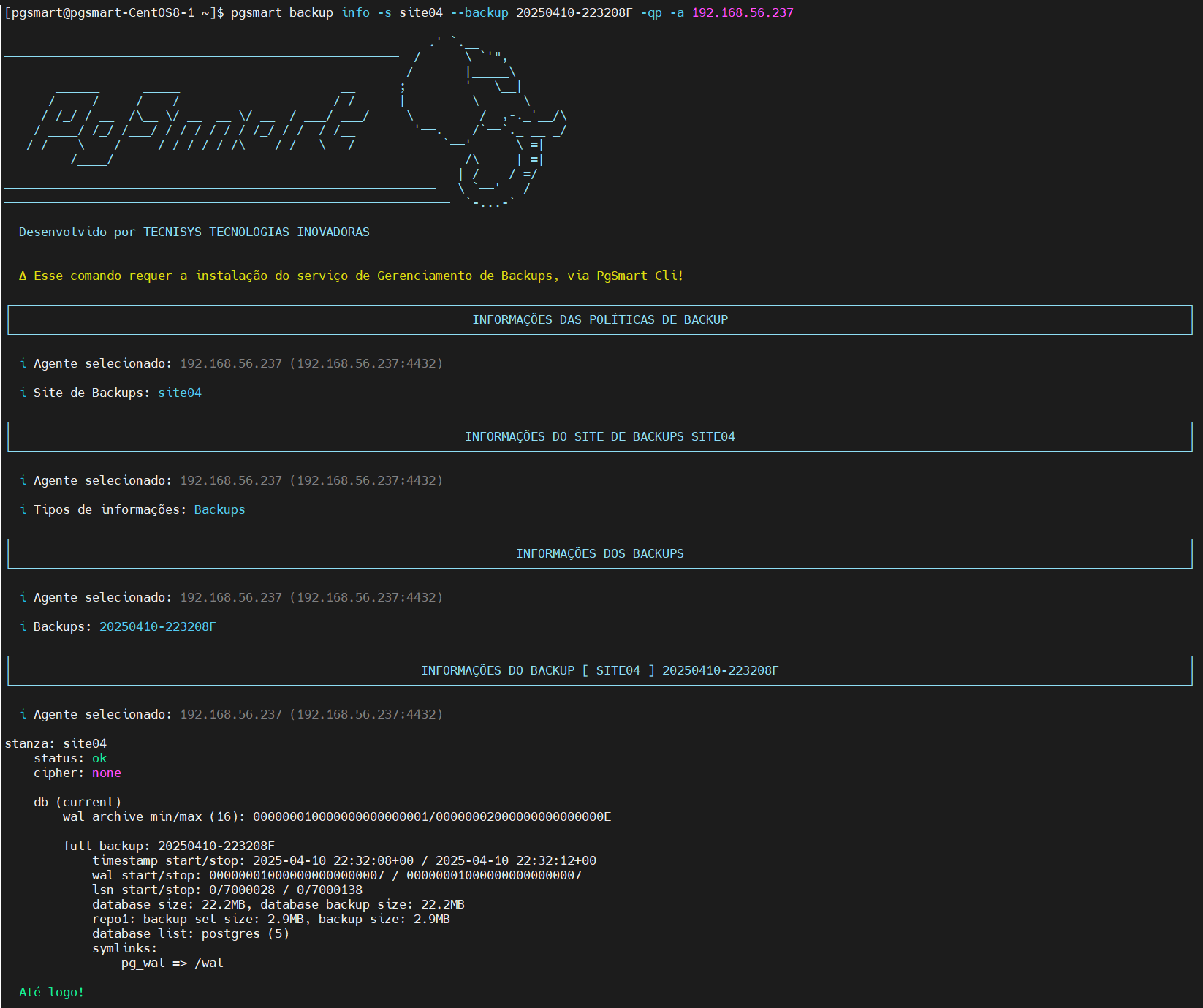 Figura 1 - Informação de Backup