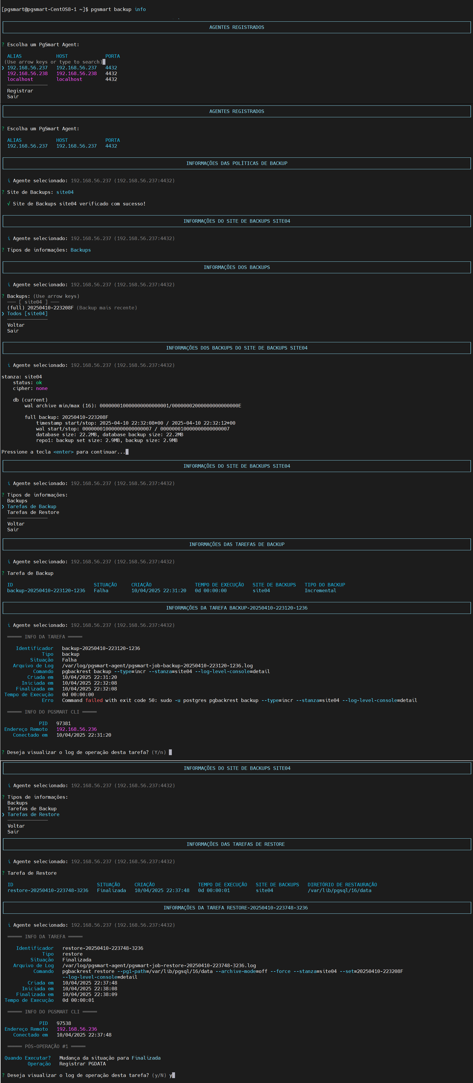 Figura 1 - Informações de Backup