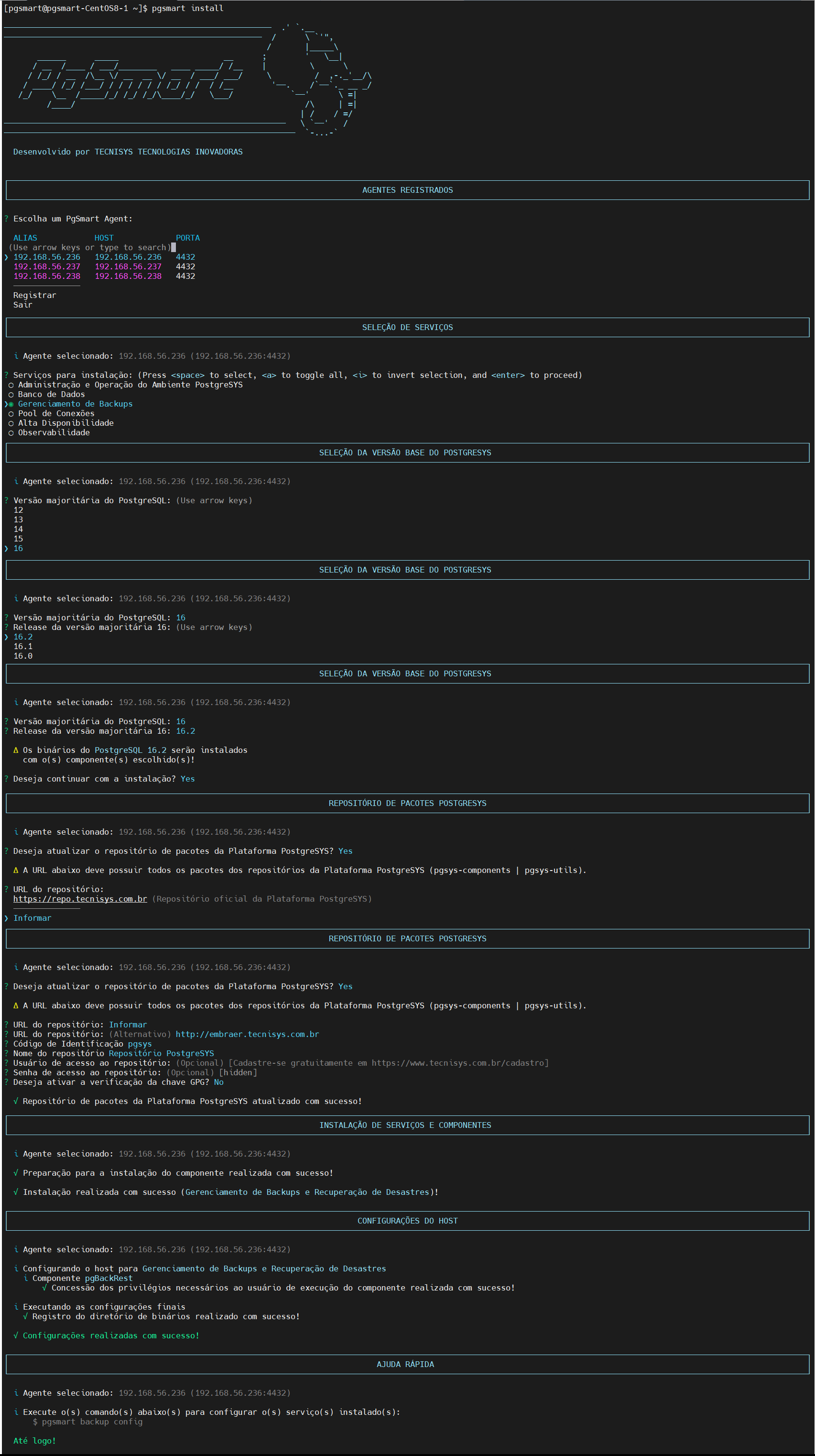 Figura 2 -Instalação do Backup - Interativa