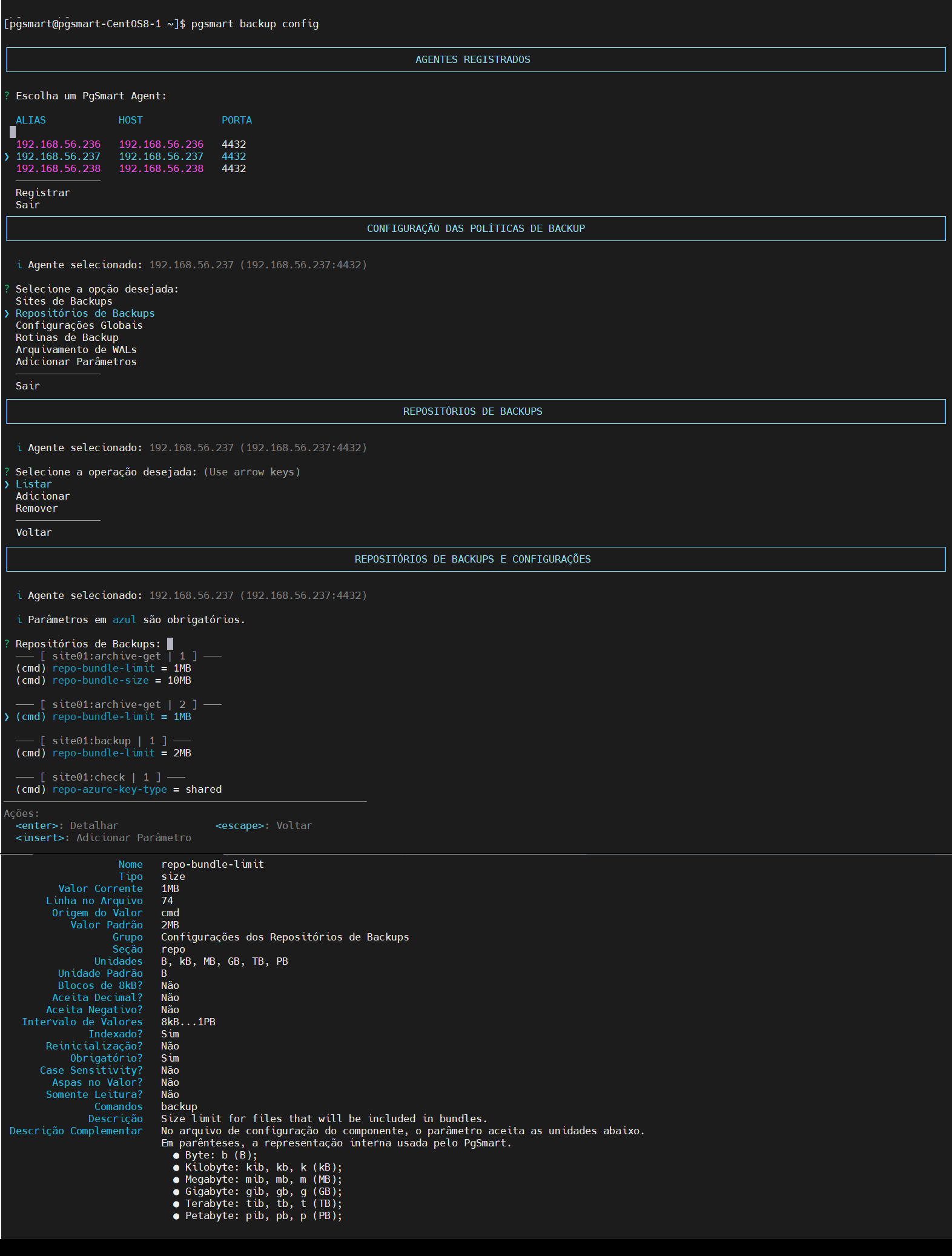Figura 1 - Configuração de Parâmetros de Repositório de Backup - Consulta
