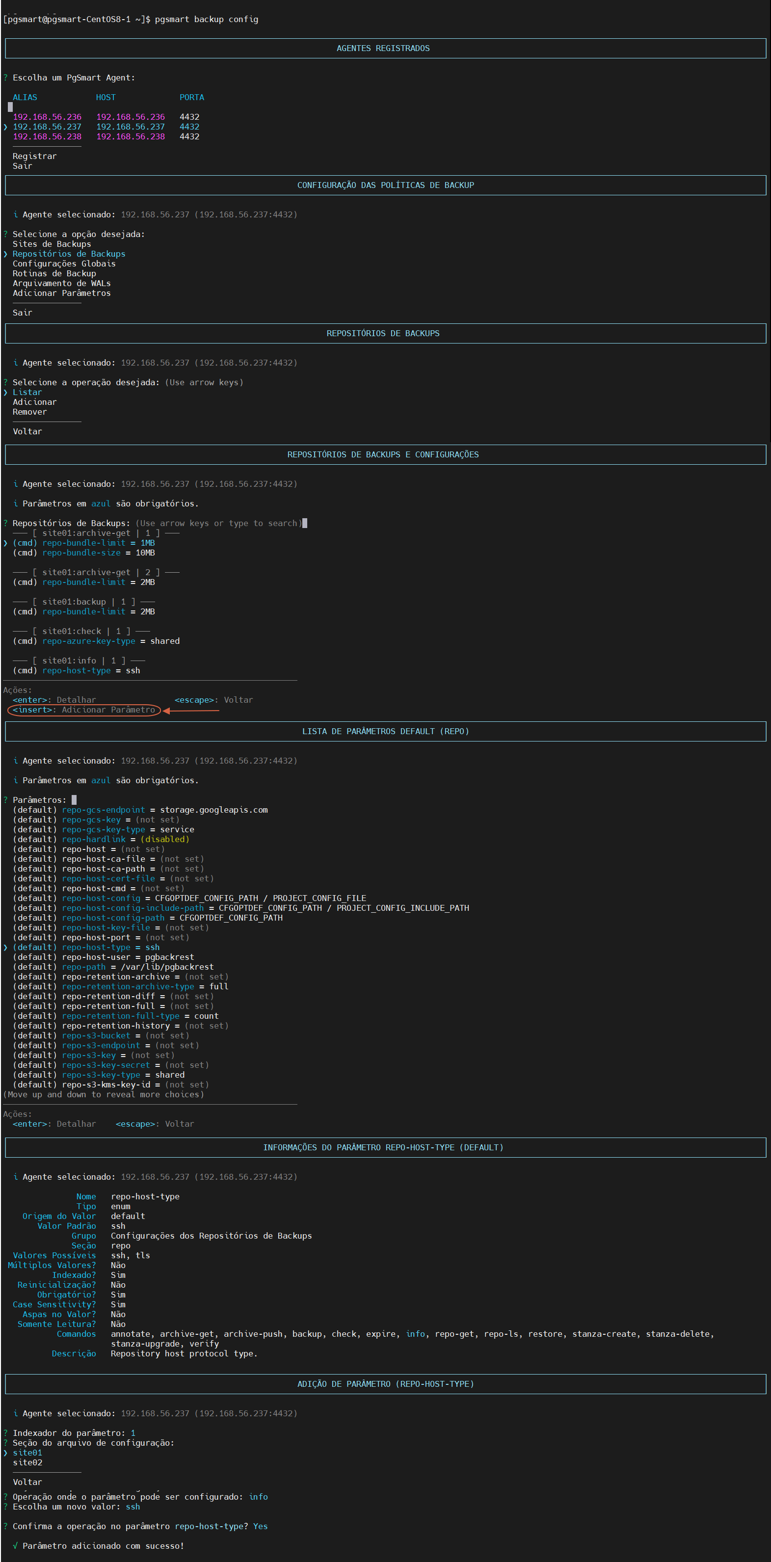 Figura 2 - Configuração de Parâmetros de Repositório de Backup - Inserção