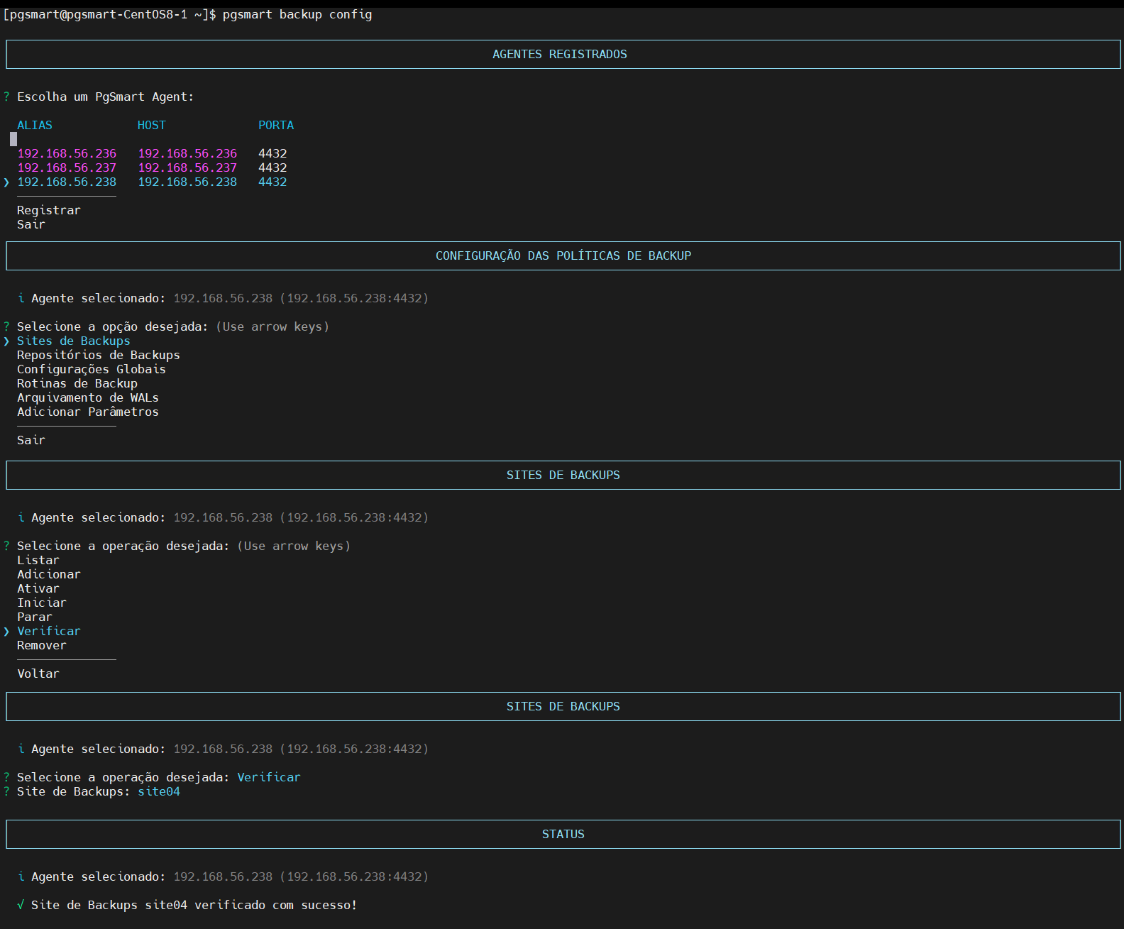 Figura 6 - Configuração de Site - Verificação