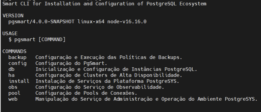 Figura 1 - Comandos do PgSmart