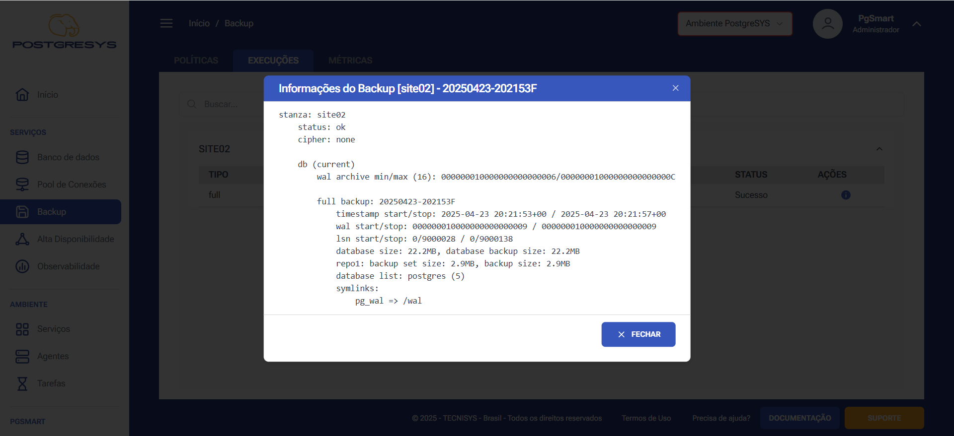 Figura 5 -Informações do Backup - Via Sidebars/Backup-Detalhes