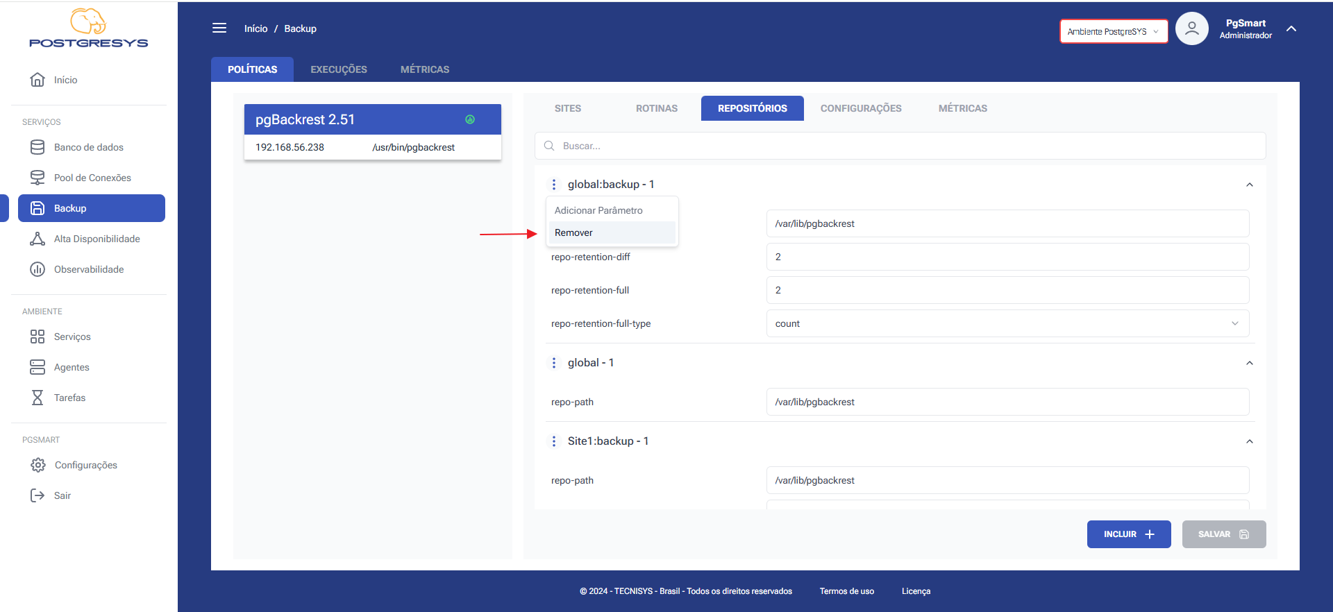 Figura 5 - Configuração dos Repositórios de Backup - Exclusão do Repositório