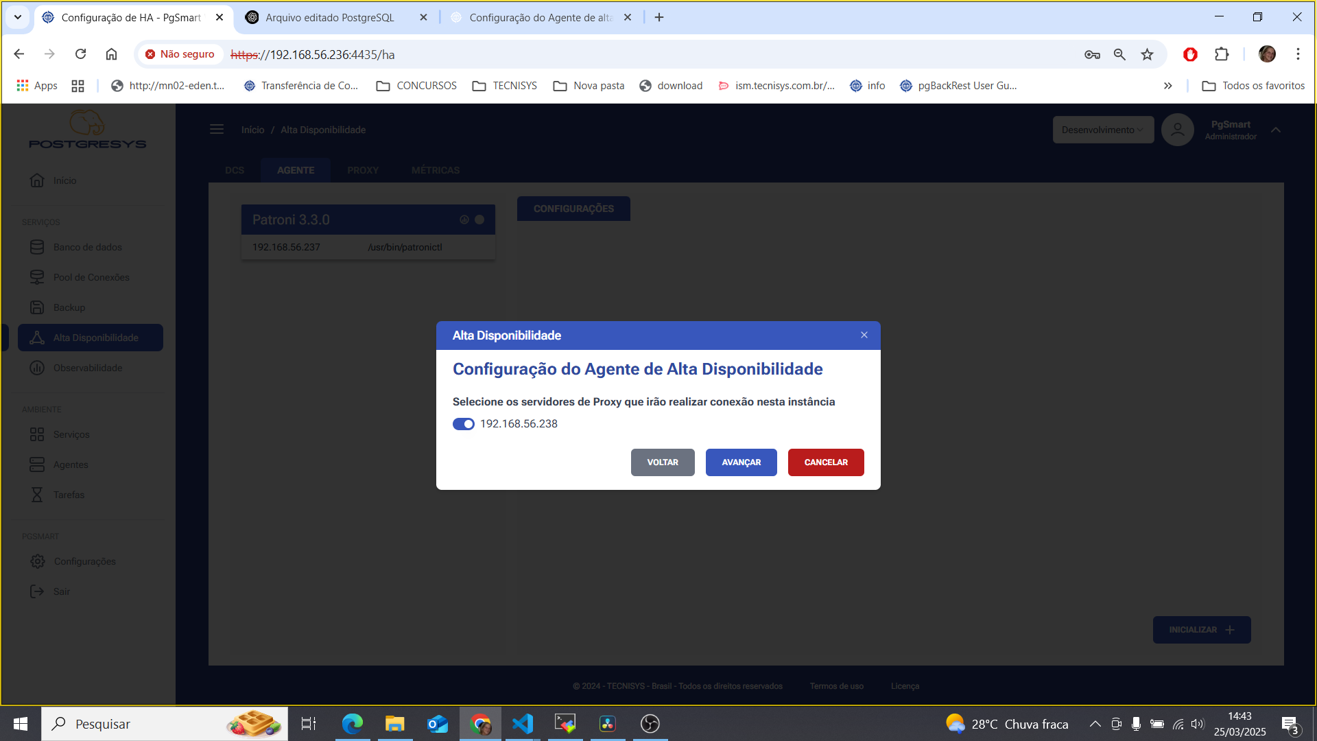 Figura 10 - Configuração do Agente de Alta Disponibilidade - Servidores Proxy