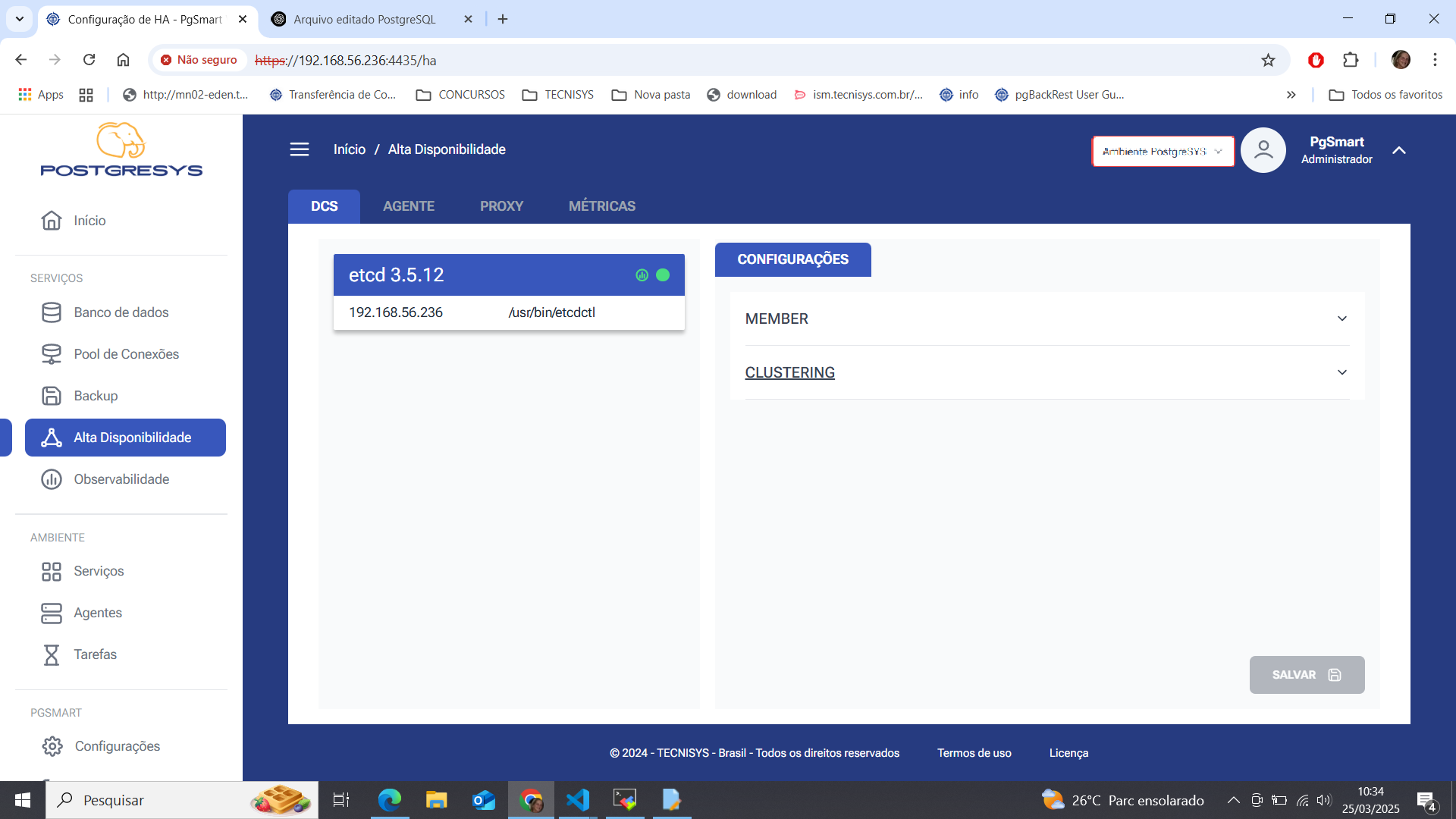 Figura 4 -Configuração do DCS de Alta Disponibilidade - Inicialização confirmada