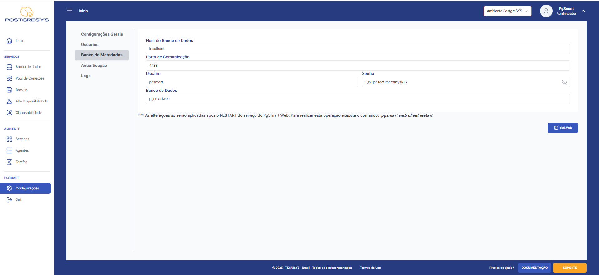 Figura 1 - Configuração de informações de Metadados
