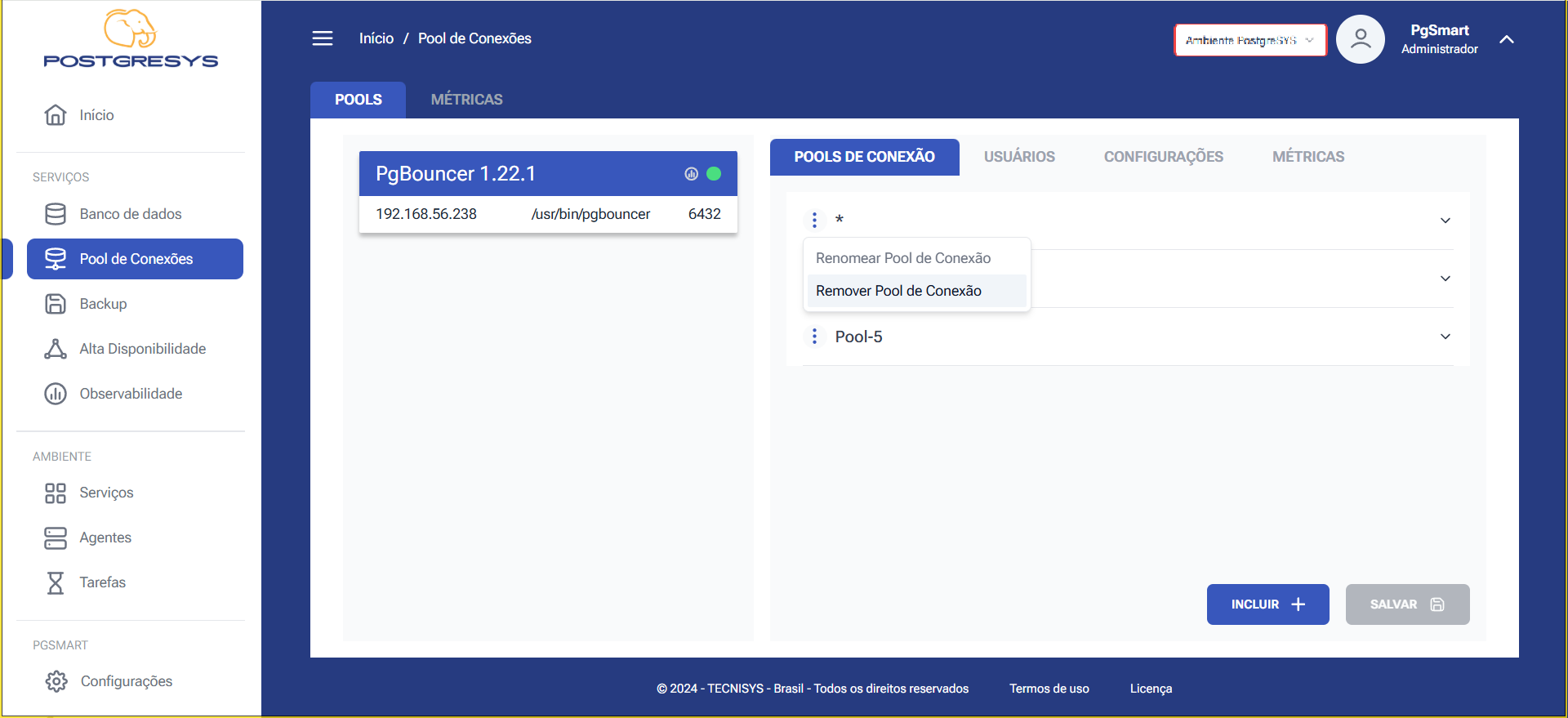 Figura 7 -Configuração dos Pools de Conexão - Excluir Pool de Conexões - Seleção da Opção