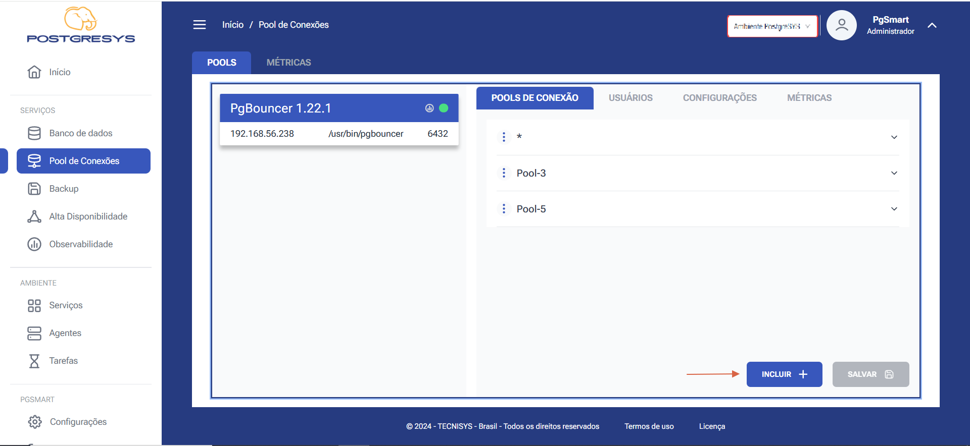 Figura 2 -Configuração dos Pools de Conexão - Incluir Pool de Conexões - Seleção da opção