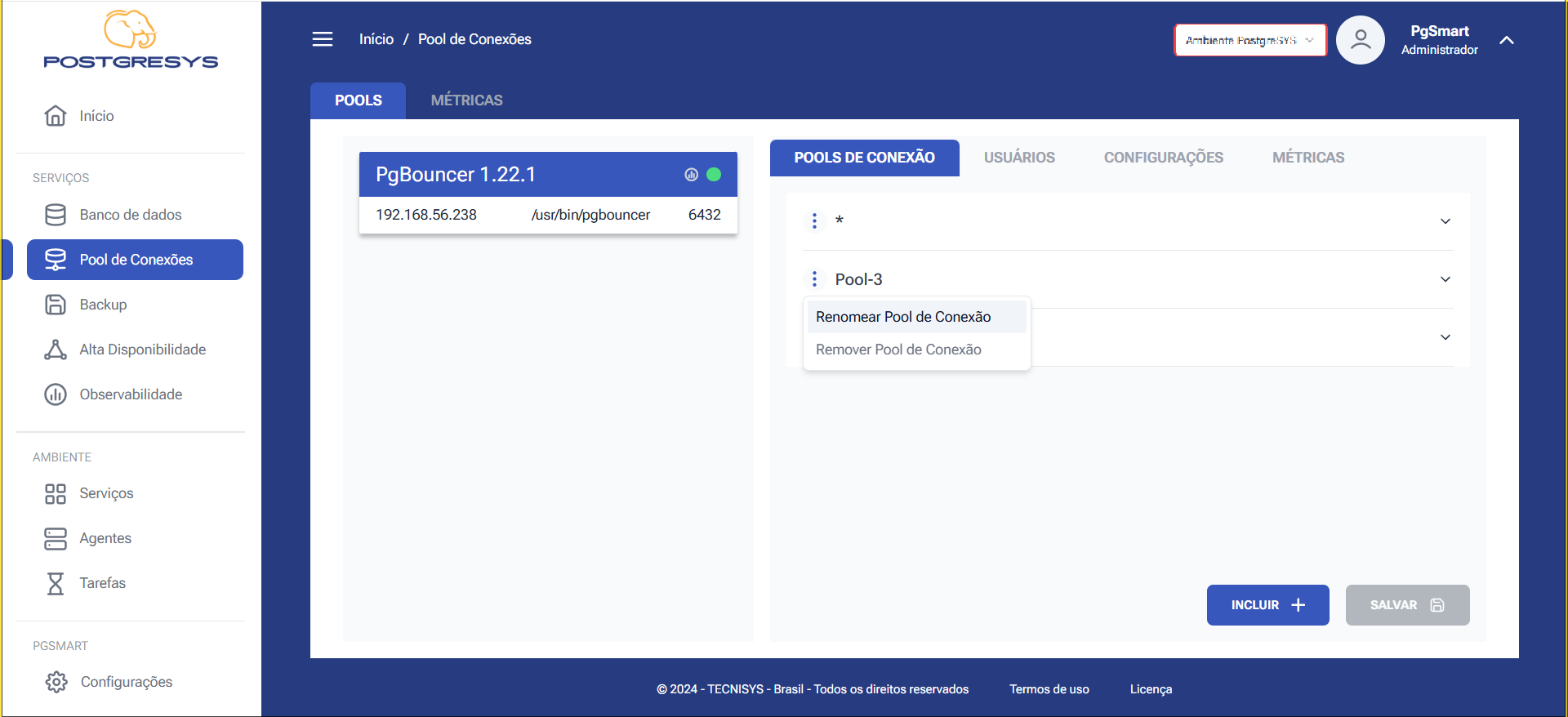 Figura 5 -Configuração dos Pools de Conexão - Renomear Pool de Conexões - Seleção da opção
