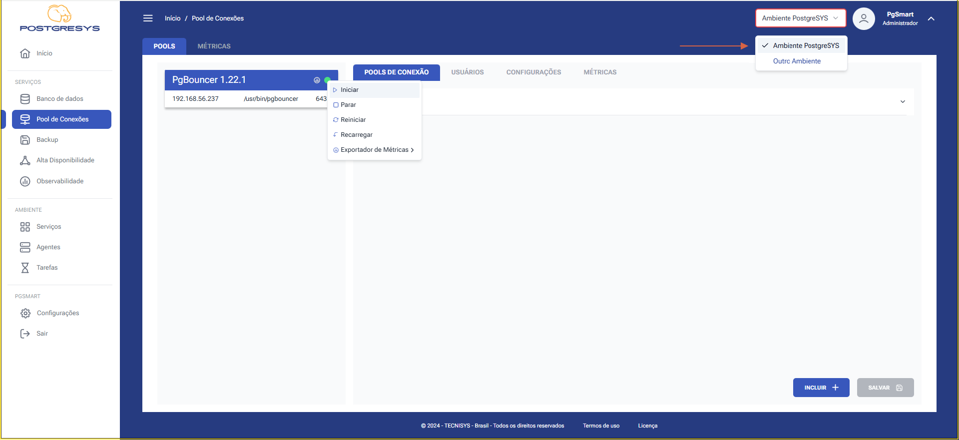 Figura 1 -Controle do serviço do pool de conexões - PgBouncer 