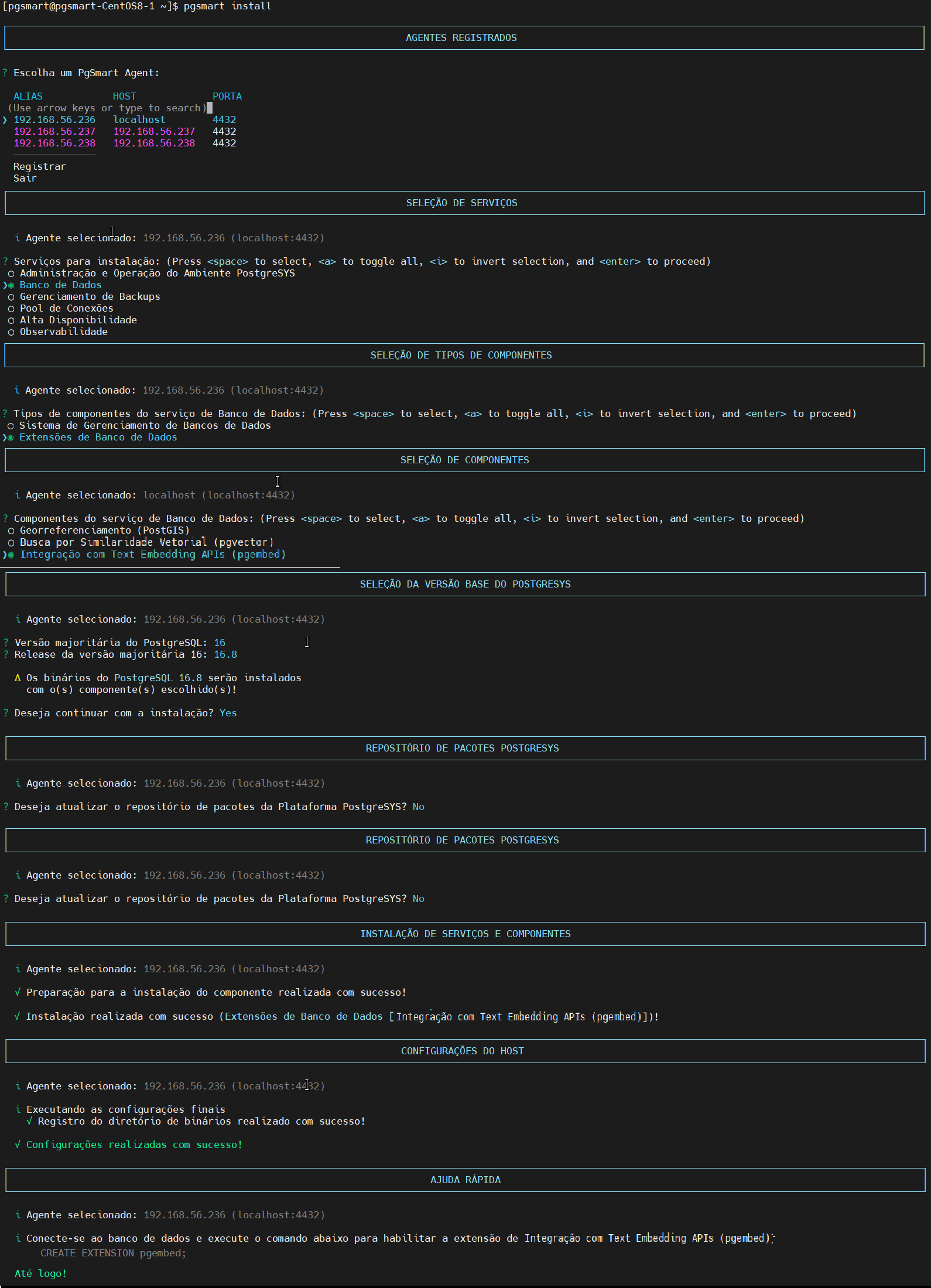 Figura 6 -Instalação extensão pgembed interativa
