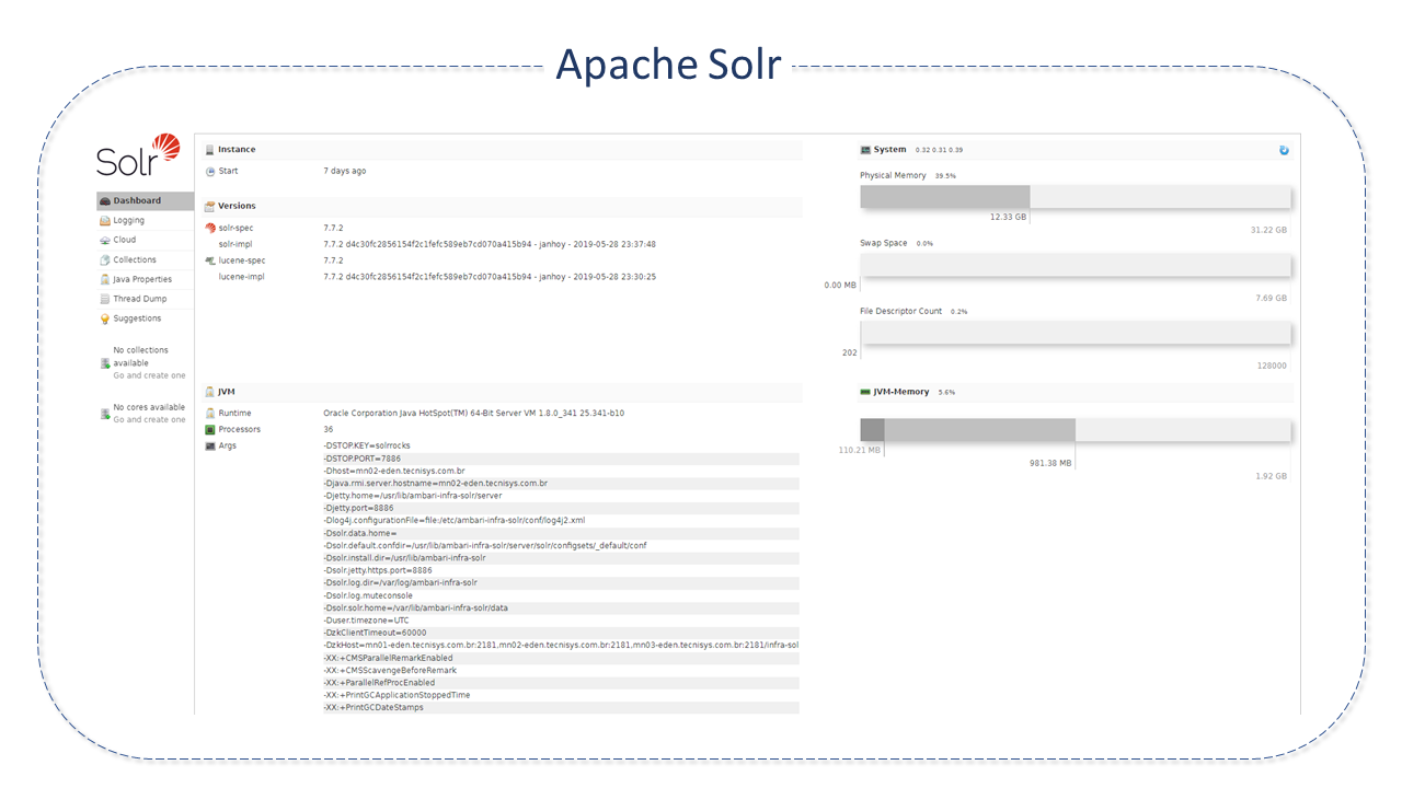 Interface Apache Solr