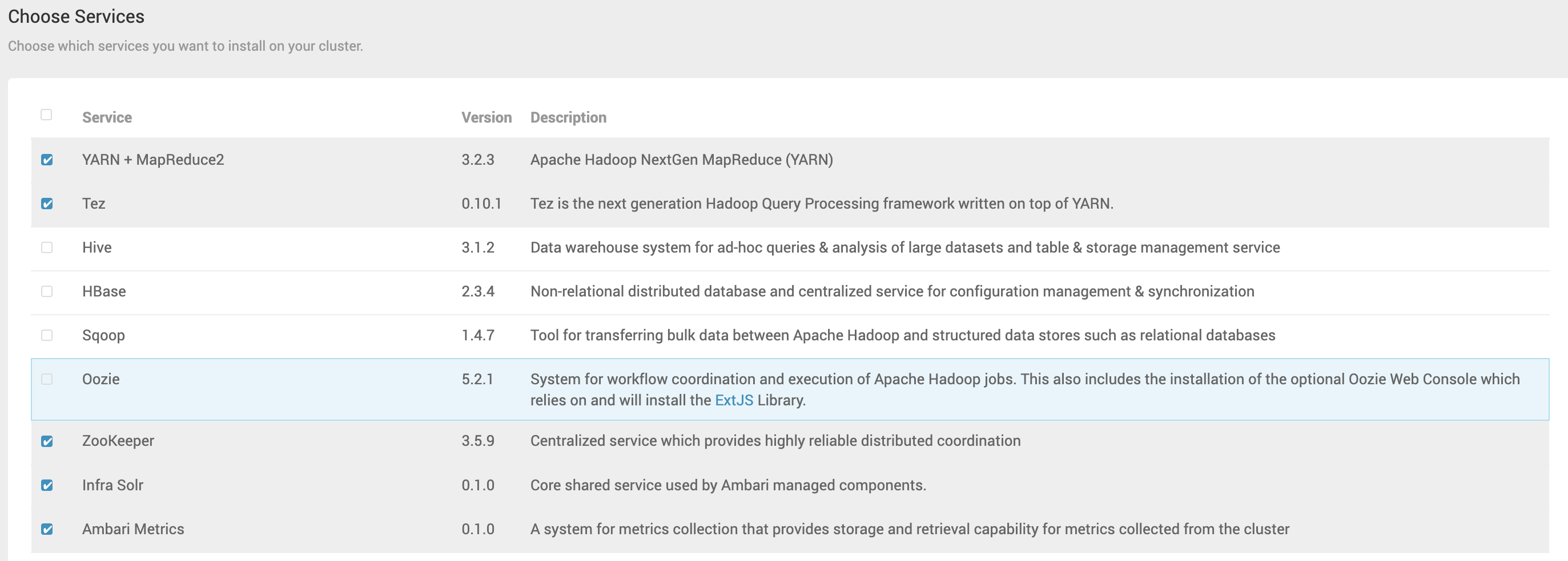 Figure 10 - Selection of Additional Cluster Services