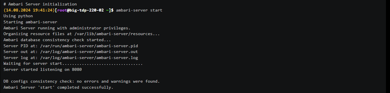 Figure 5 - Ambari Server Initialization