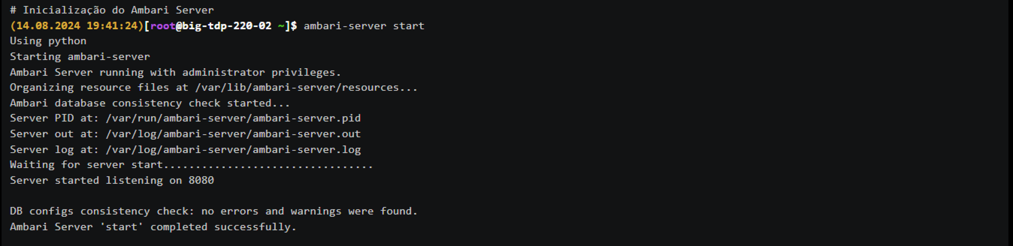 Figure 5 - Ambari Server Startup
