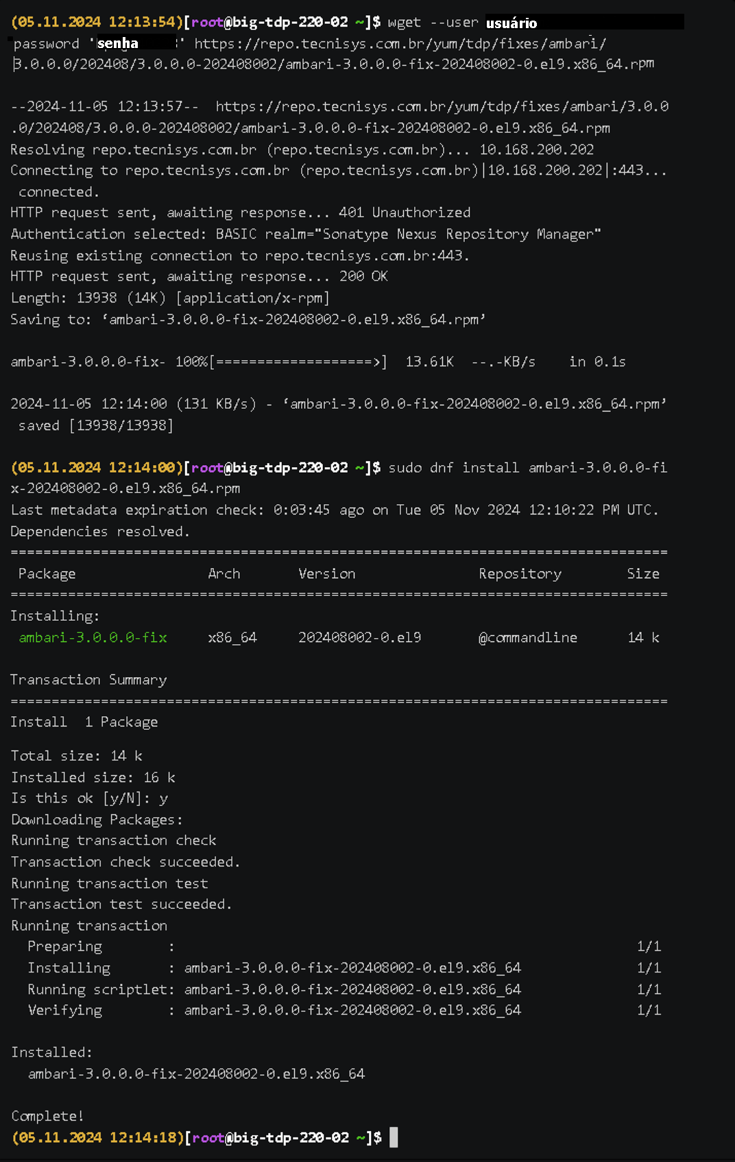 Figura 1 - Fix Installation - via wget