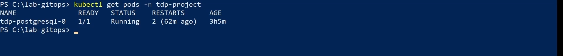 Figure 2 - Check pods