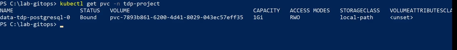 Figure 5 - Check PersistentVolumeClaims