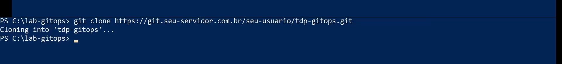 Figure 6 - Git clone (example)