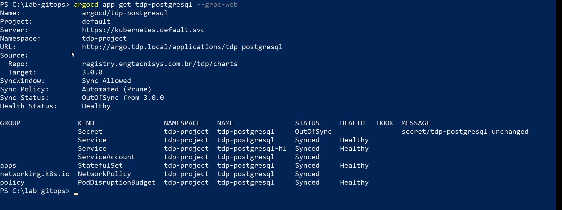 Figure 12 - Inspect Application details