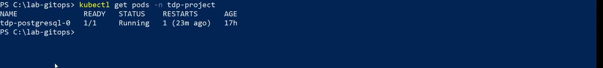 Figure 14 - Check pods