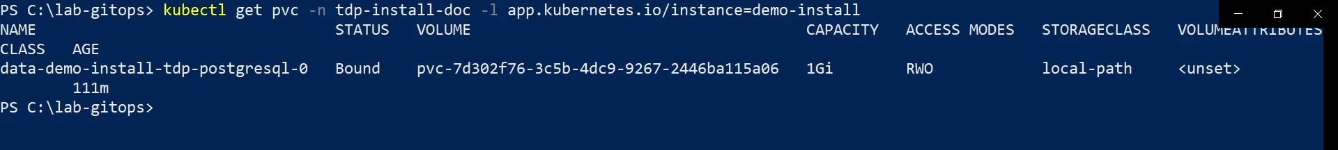 Figure 4 - kubectl get pvc