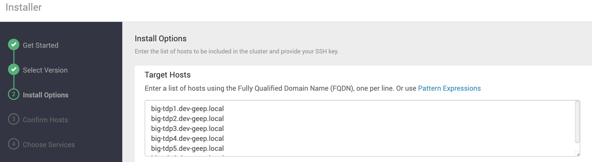 Figura 6 - Informação dos hosts do Cluster