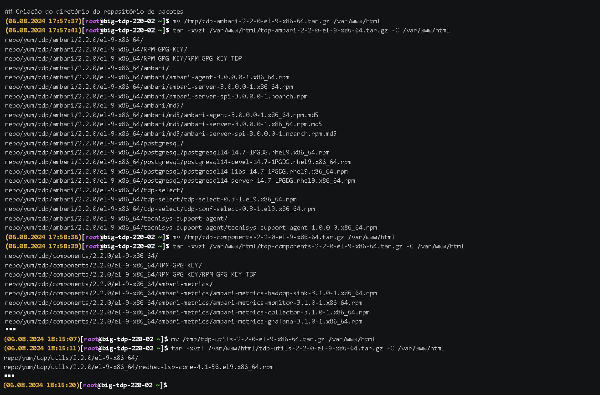 Figura 3 - Criação diretorio do repositorio