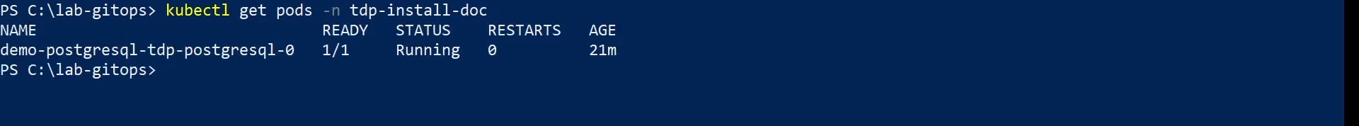 Figura 2 - Get Pods