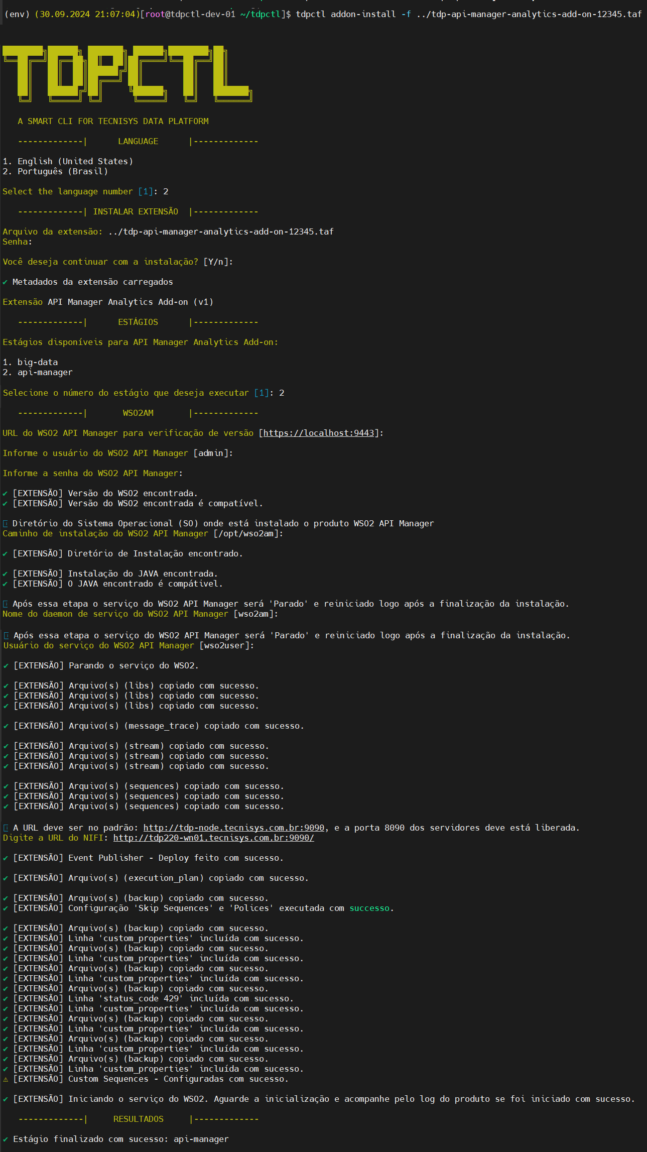 Figura 3 - Execução do Estágio API-MANAGER