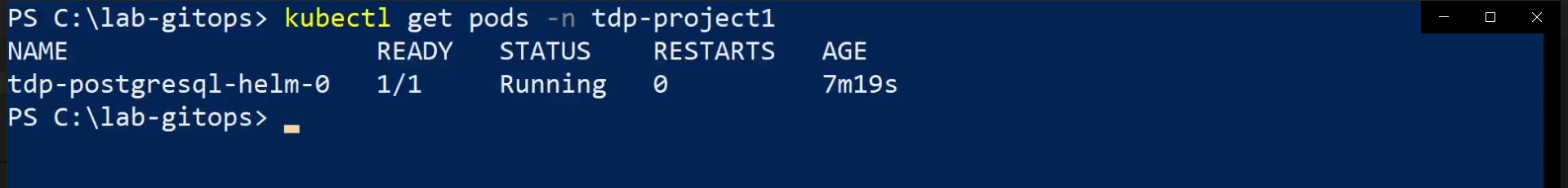 Figura 5 - Verificação dos pods