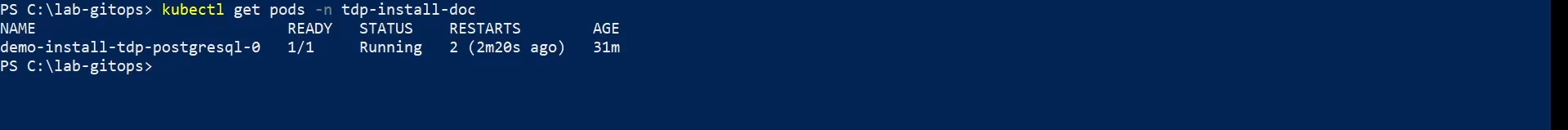 Figura 2 – Verifica os Pods