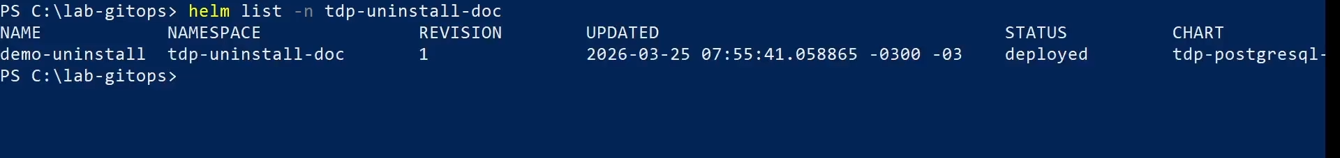 Figura 1 - Releases Helm existentes